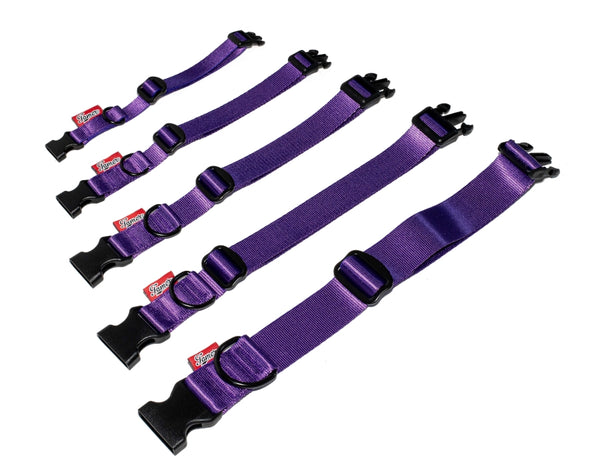 BASIC Halsband