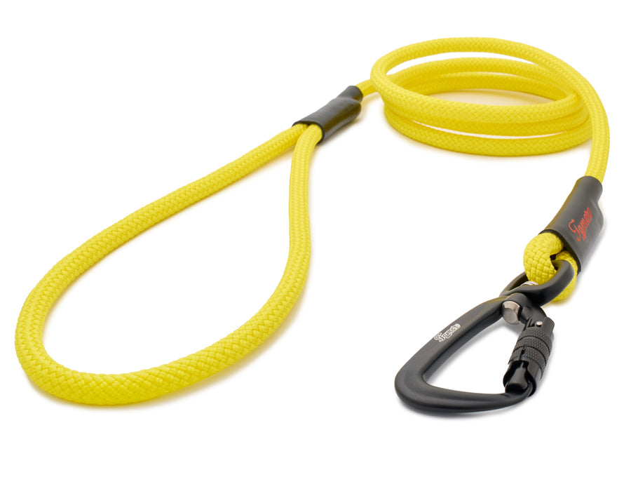 Klassische Hundeleine - M - TWIST Karabiner