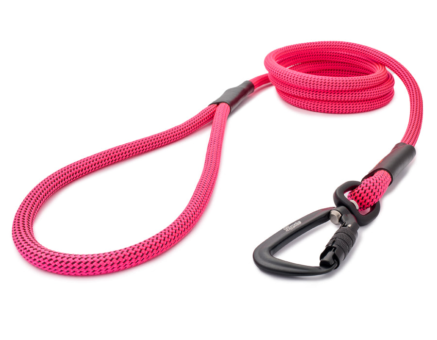 Klassische Hundeleine - M - TWIST Karabiner