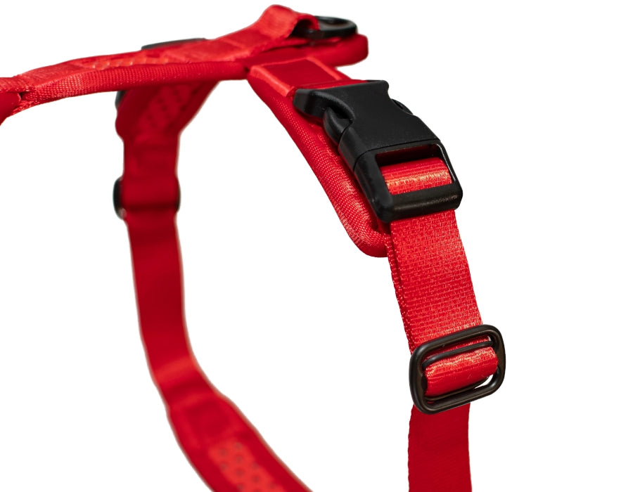 SOFTY Geschirr