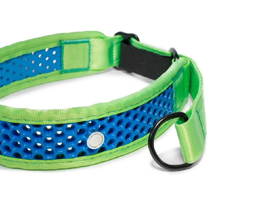 Zugstopp Halsband