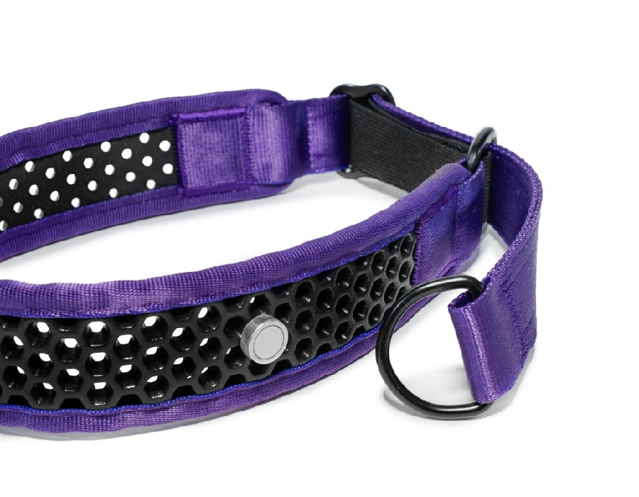 Zugstopp Halsband