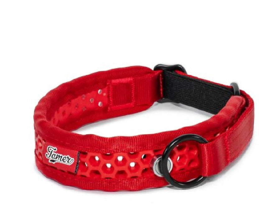 Zugstopp Halsband