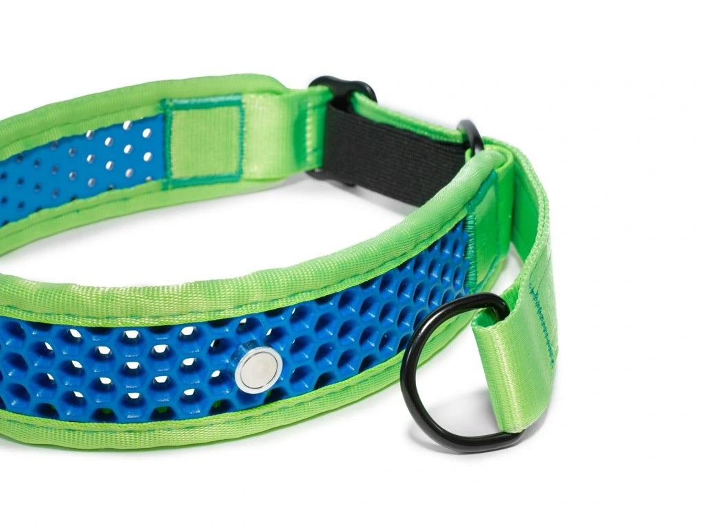 Zugstopp Halsband