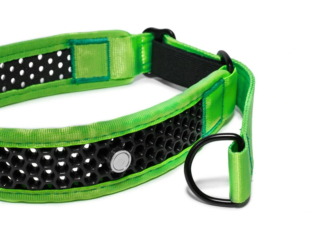 Zugstopp Halsband