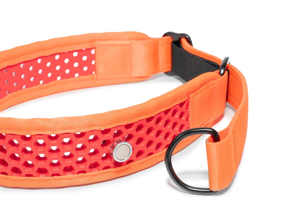 Zugstopp Halsband