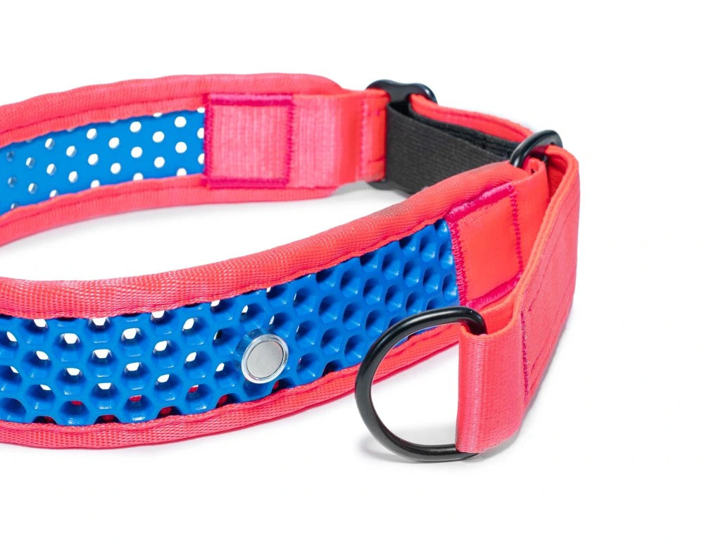 Zugstopp Halsband