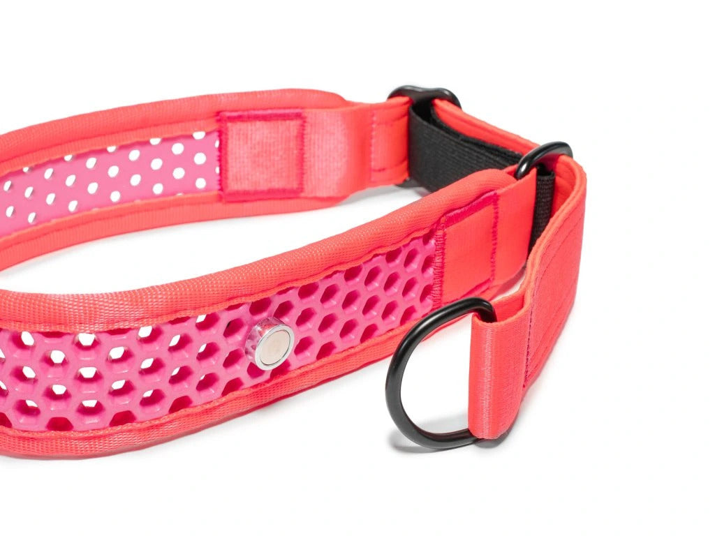 Zugstopp Halsband