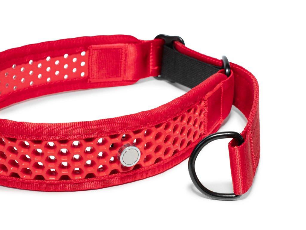 Zugstopp Halsband