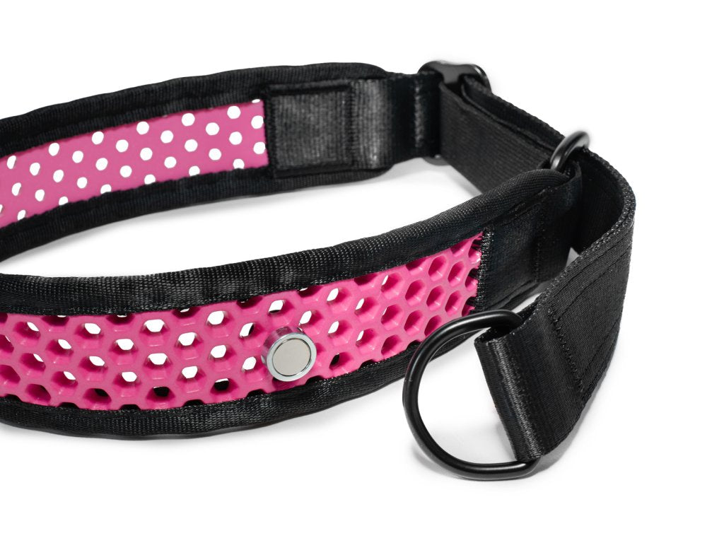 Zugstopp Halsband